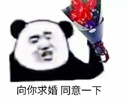 向你求婚同意一下