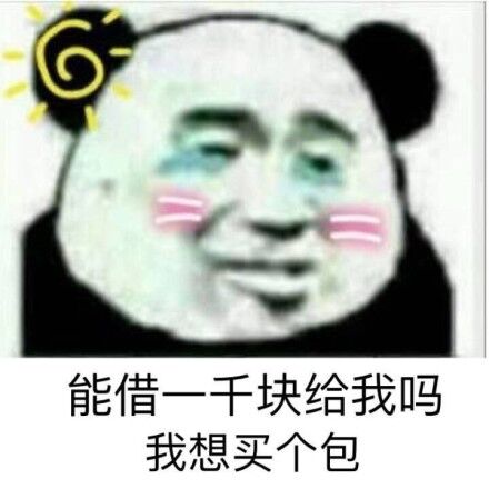 能借一千块给我吗？我想买个包