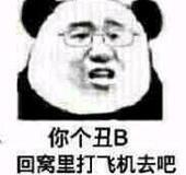 你个丑B，回窝里打飞机去吧