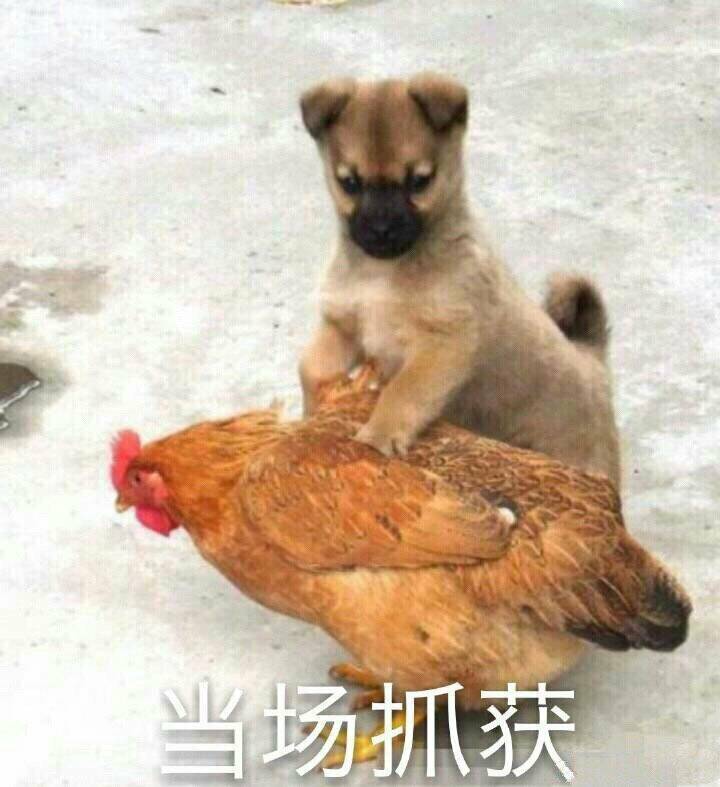 当场抓获