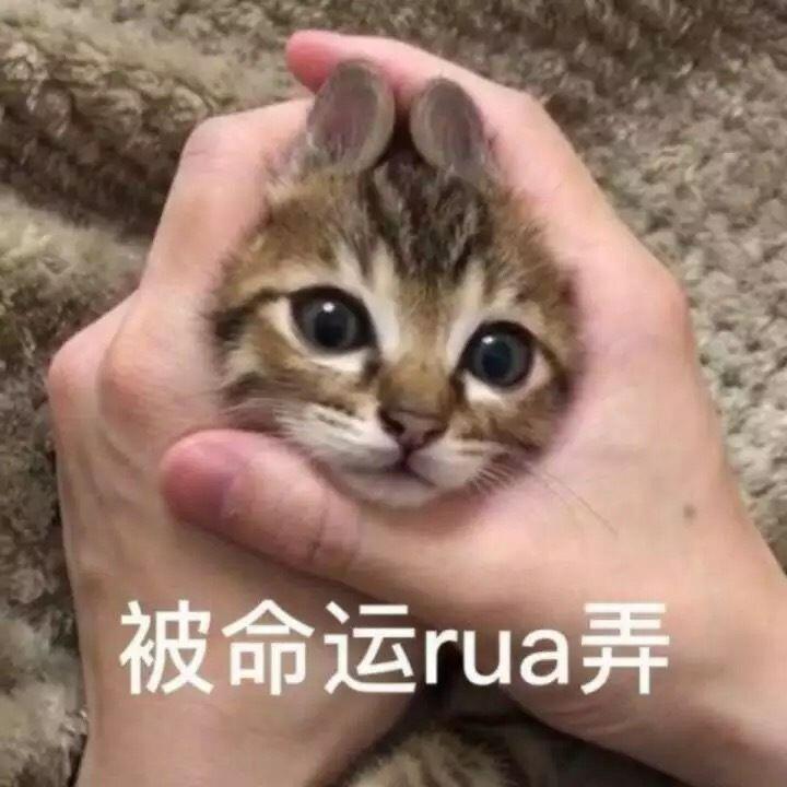 被命运rua弄