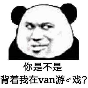 你是不是背着我在van游戏？