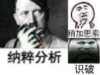 纳粹分析