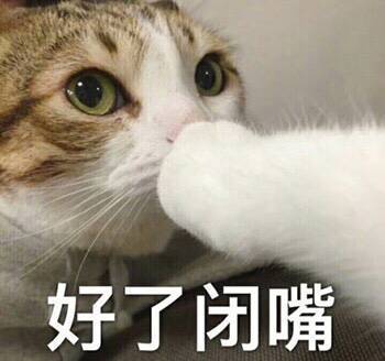 好了，闭嘴