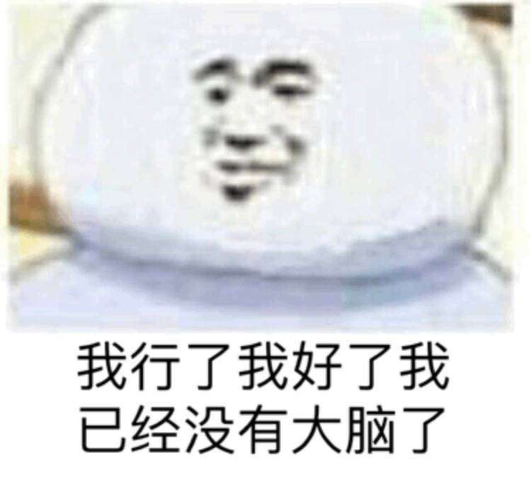 我行了我好了，我已经没有大脑了