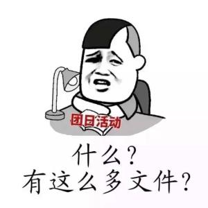 国日活动，什么？有这么多文件？