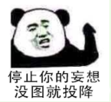 停止你的妄想，没图就投降