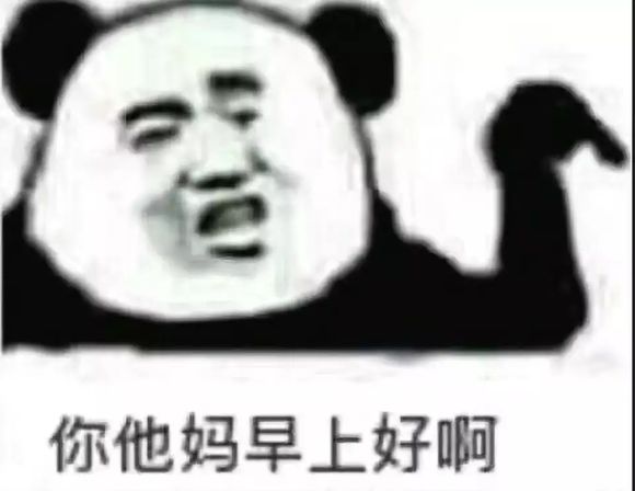 你他妈早上好啊