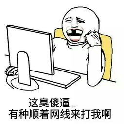 这臭傻逼，有种顺着网线来打我啊