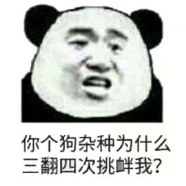 你个狗杂种，为什么三翻四次挑衅我？