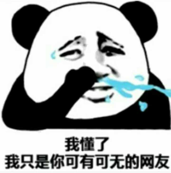 我懂了，我只是你可有可无的网友