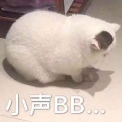 小声BB