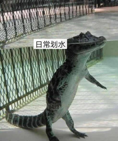 日常划水