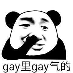 gay里qay气的