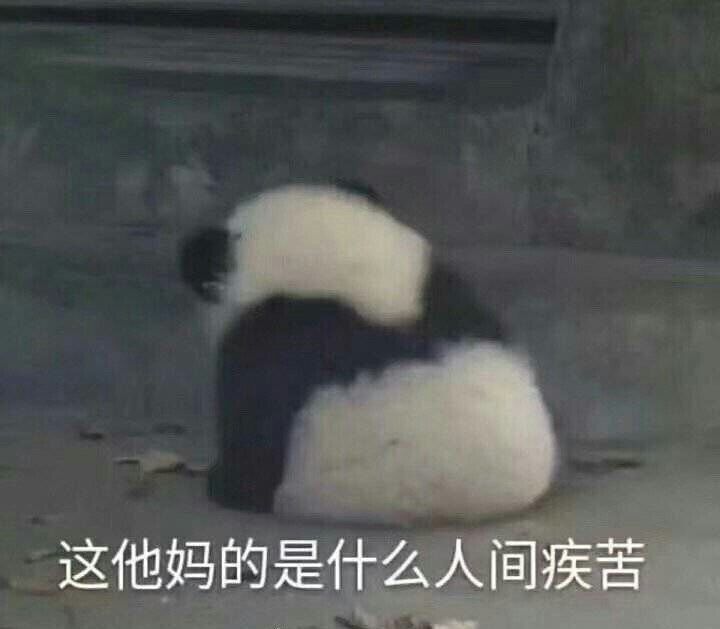 这他妈的是什么人间疾苦