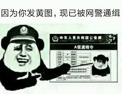 因为你发黄图，现已被网警通缉