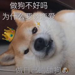 做狗不好吗？为什么要谈恋爱，做自己的舔狗