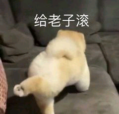 给老子滚