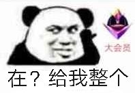 大会员在？给我整个