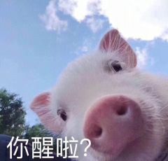 你醒啦？