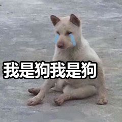 我是狗我是狗