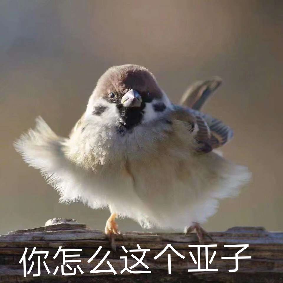 你怎么这个亚子