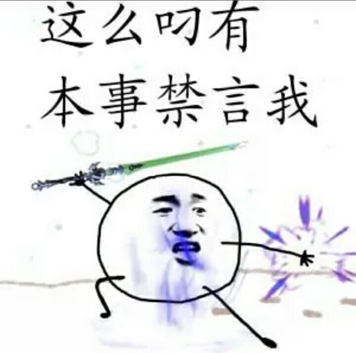 这么叼，有本事禁言我