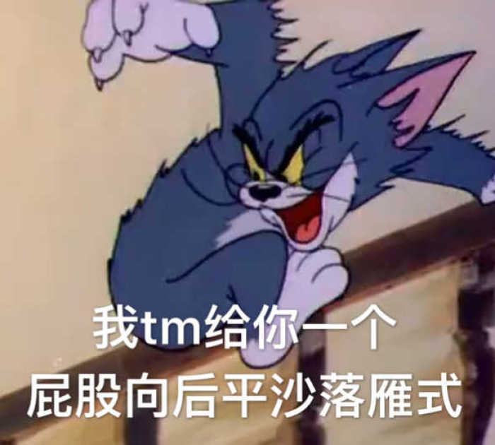 我tm给你一个，屁股向后平沙落雁式