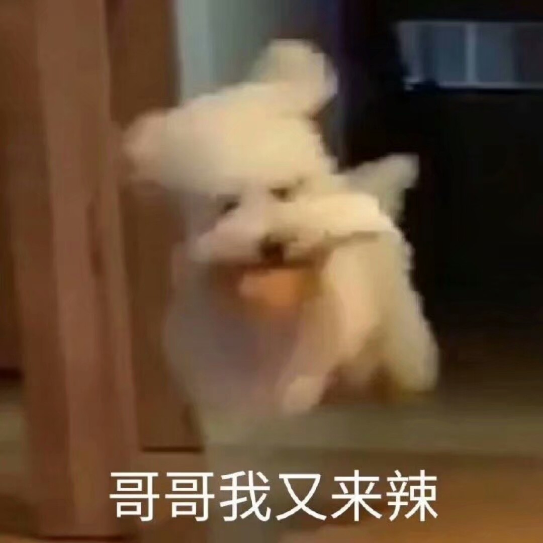 哥哥我又来辣