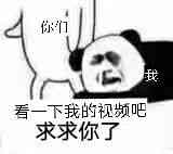 你们看一下我的视频吧，求求你了