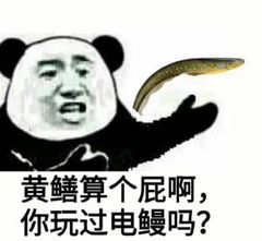 黄鳝算个屁啊，你玩过电鳗吗？