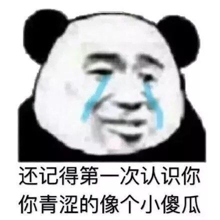 还记得第一次认识你，你青涩的像个小傻瓜