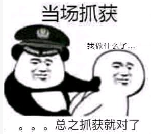 当场抓获我做什么了，。。。总之抓获就对了