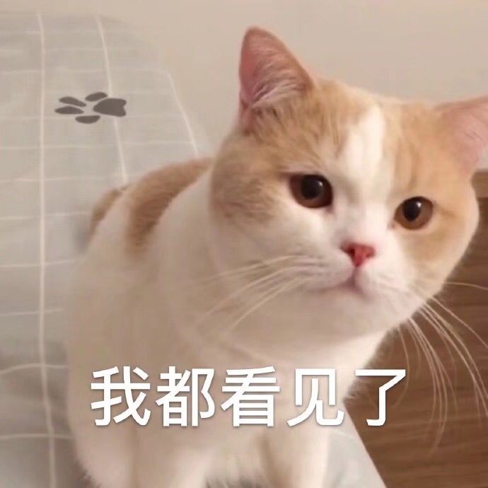 我都看见了