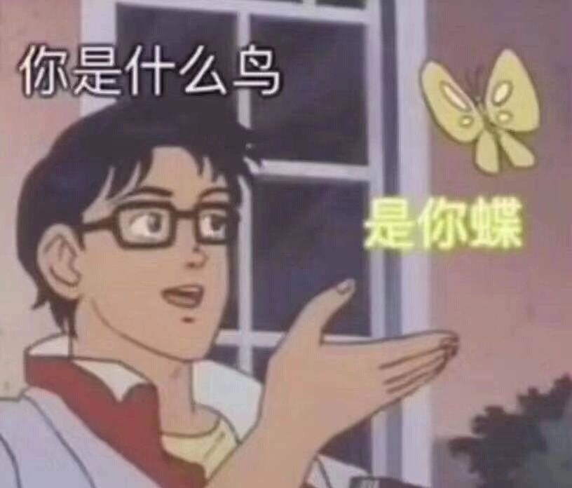 你是什么鸟，是你蝶