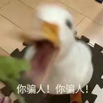 你骗人！你骗人