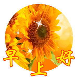 早上好