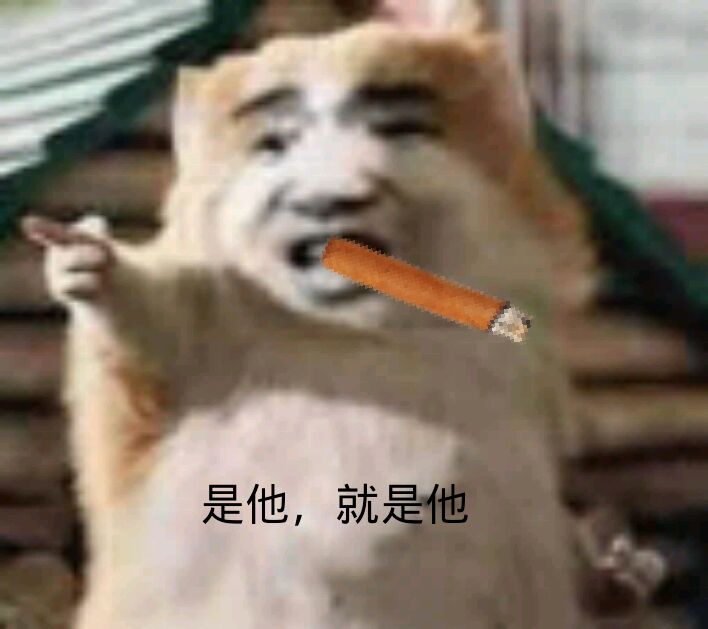 是他，就是他