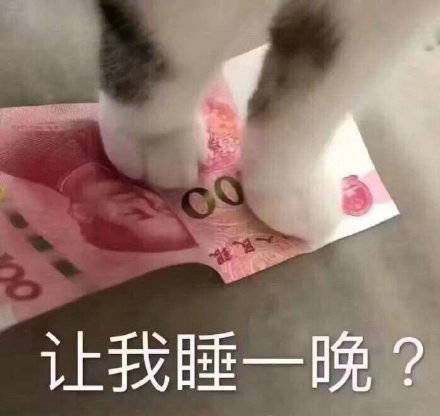 让我睡一晚？