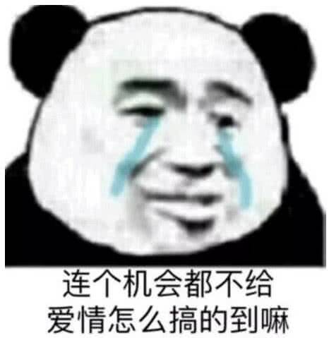 连个机会都不给，爱情怎么搞的到嘛