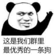 这是我们群里最优秀的一条狗