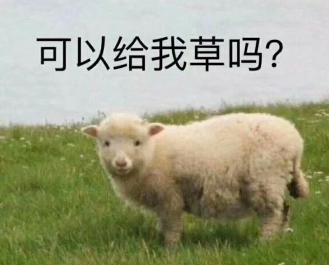 可以给我草吗？