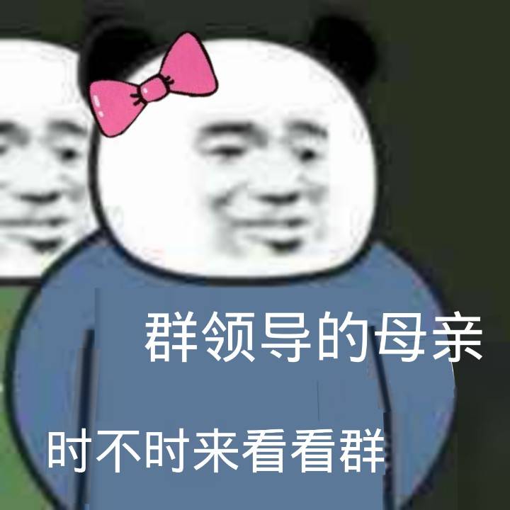 群领导的母亲时不时来看看群