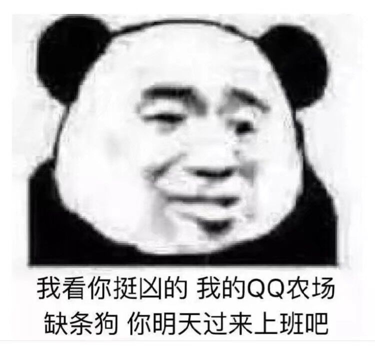 我看你挺凶的，我的QQ农场缺条狗，你明天过来上班吧