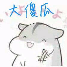 大傻瓜