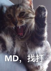 MD，找打