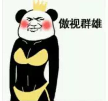 傲视群雄