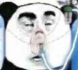 快死了