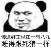 傻逼群主，现在十有八九睡得跟死猪一样