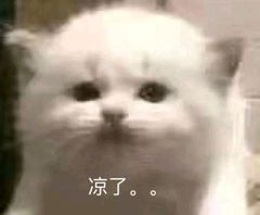 凉了。。